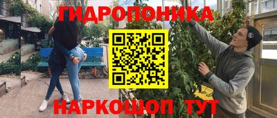винт Тара