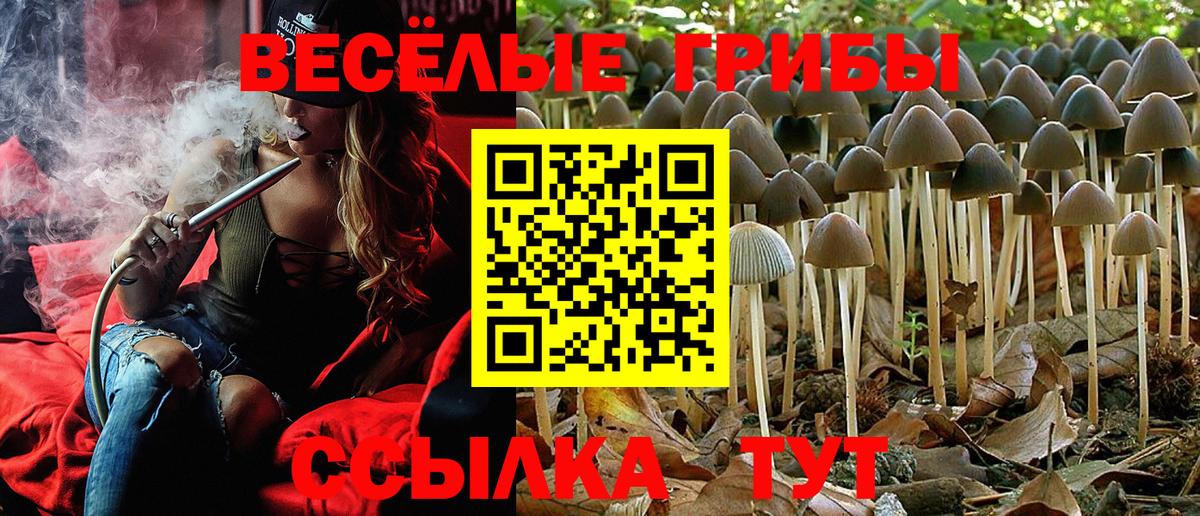 Псилоцибиновые грибы Cubensis Ачинск