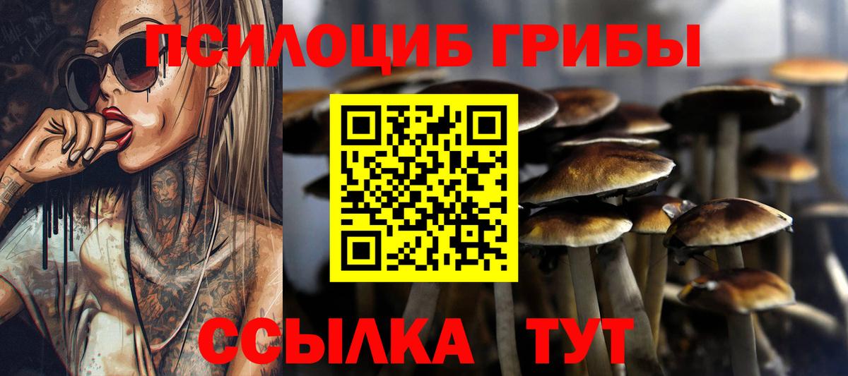 Галлюциногенные грибы мухоморы  Вход с VPN  Ачинск 