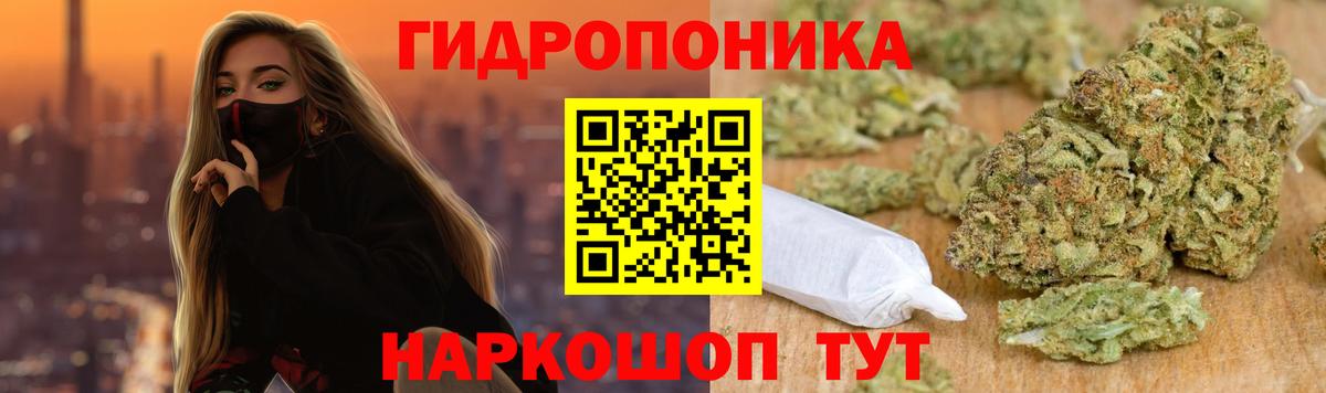 Бошки Шишки Amnesia Ачинск